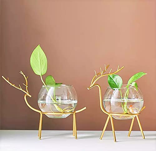 Lavish Craft Desktop Deer Plant Vases Small Glass Flower Vase with Gold Metal Stand Propagation Station Plant Holder Glass Planter Holder Deer for Home Wedding Decor (A+B Set) - Image 2