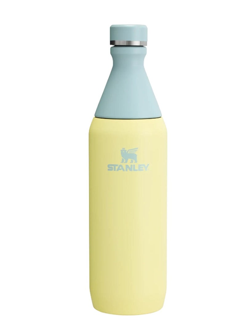 Stanley The All Day Slim Bottle 591Ml / 20Oz  Slim & Stylish Stainless Steel Insulated Water Bottle With Double-Wall Vacuum Insulation, Leakproof Design, Bpa-Free, Dishwasher Safe, Car Cup Holder Compatible, Eco-Friendly Recycled Steel, Keeps Drinks Ice-Cold For Hours  Perfect For Work, Travel, Sports & Everyday Hydration - Image 1