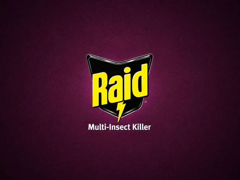 RAID Multi-Insects Odorless Insect Killer Spray - Kills Mosquitoes, Flies, Ants & Roaches - 12 Pack - Image 5