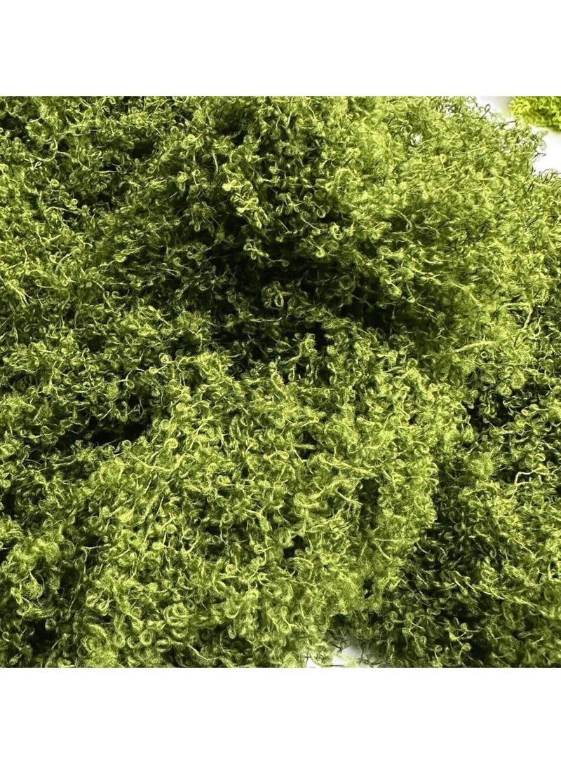 حياة كومفورت 50g طحلب مزيف، طحلب محفوظ،  طحلب اخضر مزيف للنباتات المحفوظة في اصيص، طحلب صناعي،  طحلب صناعي للديكور والحرف اليدوية، قطع مركزية للطاولة وديكور الحديقة الجنية والزهور وحفلات الزفاف - Image 2