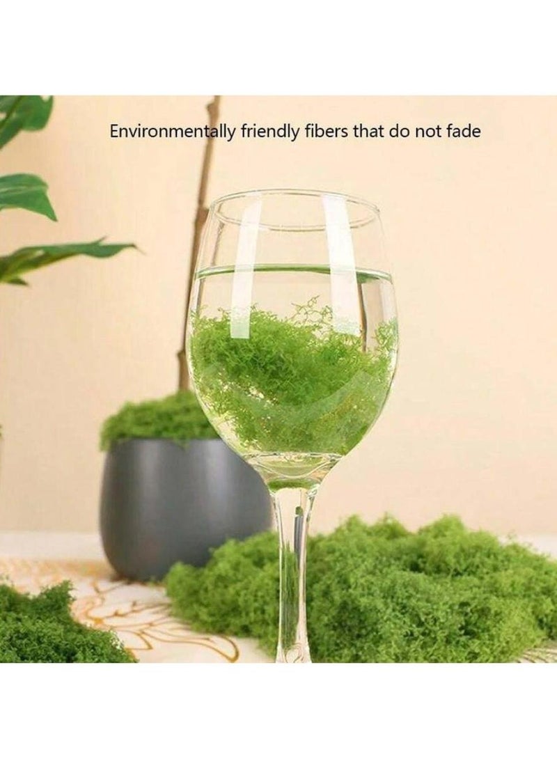 حياة كومفورت 50g طحلب مزيف، طحلب محفوظ،  طحلب اخضر مزيف للنباتات المحفوظة في اصيص، طحلب صناعي،  طحلب صناعي للديكور والحرف اليدوية، قطع مركزية للطاولة وديكور الحديقة الجنية والزهور وحفلات الزفاف - Image 4