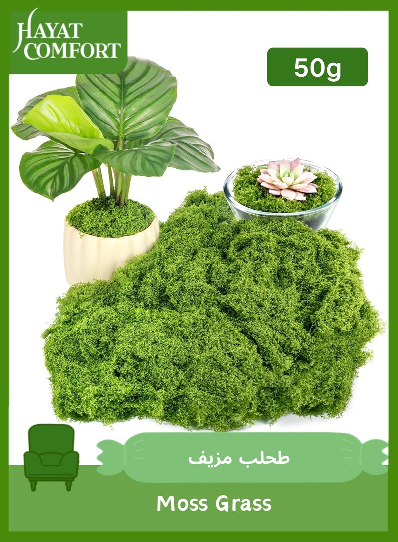 حياة كومفورت 50g طحلب مزيف، طحلب محفوظ،  طحلب اخضر مزيف للنباتات المحفوظة في اصيص، طحلب صناعي،  طحلب صناعي للديكور والحرف اليدوية، قطع مركزية للطاولة وديكور الحديقة الجنية والزهور وحفلات الزفاف - Image 1