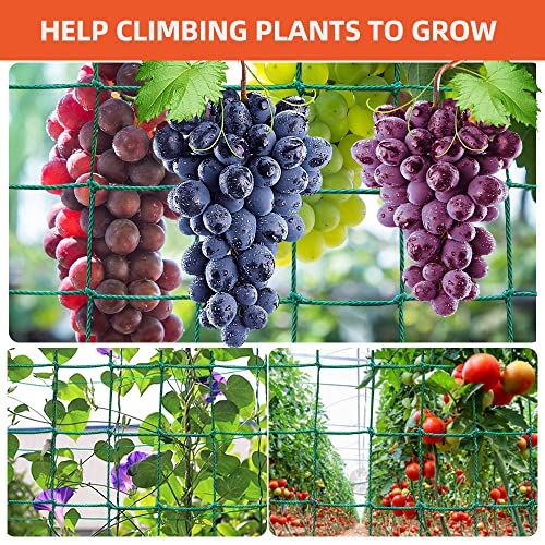 Yahpetes Garden Netting 1 Pcs Garden Climbing Net 6'X9' Plant Vine SupportClimb Net Heavy Duty Net Support for Climbing&Vining Plants (6'X9') - Image 3