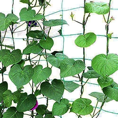 Yahpetes Garden Netting 1 Pcs Garden Climbing Net 6'X9' Plant Vine SupportClimb Net Heavy Duty Net Support for Climbing&Vining Plants (6'X9') - Image 5