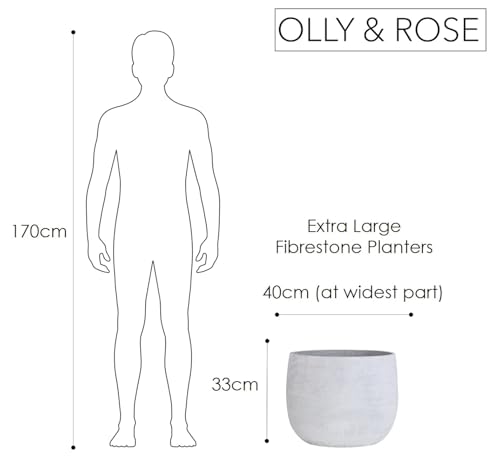 Olly & Rose Olly Rose Extra Large Plant Pot Patterned 155 Inch Barcelona Off White Garden Planter XL Flower Pot 40cm - Image 3