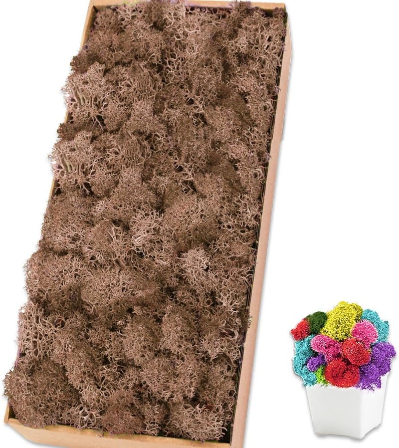 TCYPUHL Preserved Moss for Crafts Brown Reindeer Moss for Potted Plants, Craft Decorative Moss Decor for Wall Art, Dried Moss(1.1 lb, Brown) - Image 1