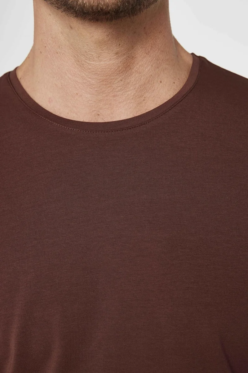 Tudors Men's Slim Fit Slim Cut Cotton Soft Texture Flexible Fabric Plain Basic Brown Crew Neck T-Shirt