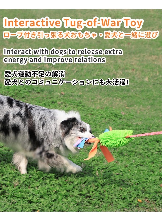 SCHITEC Tug Toy for Dogs, Bungee Tug of War Rope Toys with Squeaky Sound for Small Medium Large Dog, Puppy Training Pull Toy for Exercise & Interactive Play Games - Image 2