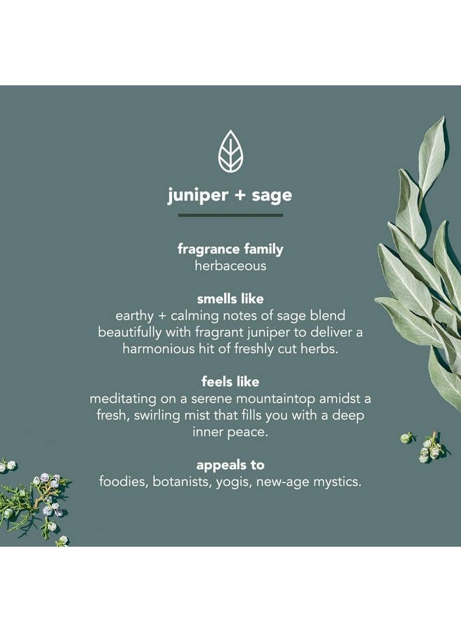 غسول الجسم من Method Men، Juniper + Sage، خالٍ من البارابين والفثالات، 18 أونصة سائلة (عبوة واحدة) - pzsku/Z9C2237DF4E024F9467B0Z/45/_/1737032062/baaa8d72-186e-4e02-bee6-c3931b4ed801