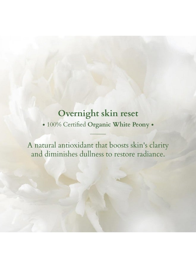 Lotus Organics+ Precious Brightening Night Cream | For Dark Spots, Blemishes & Pigmentation | Night Moisturiser | Sulphate & Paraben Free | All Skin Types | 50G - Image 2