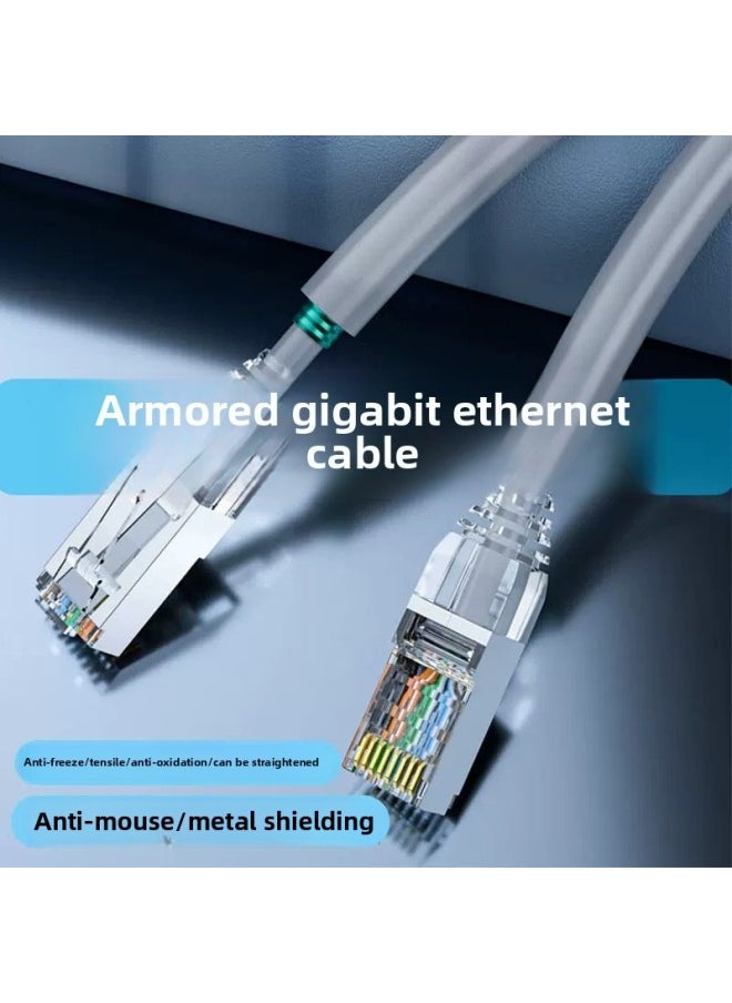 Generic Super Class 5 Industrial Outdoor Engineering Shielding Network Cable GB Network Cable Oxygen-free Copper Armored Anti-seismic Anti-fracture Network Cable-Color:Super Six Armored Network Cable-Line Length:2 M  - Image 1