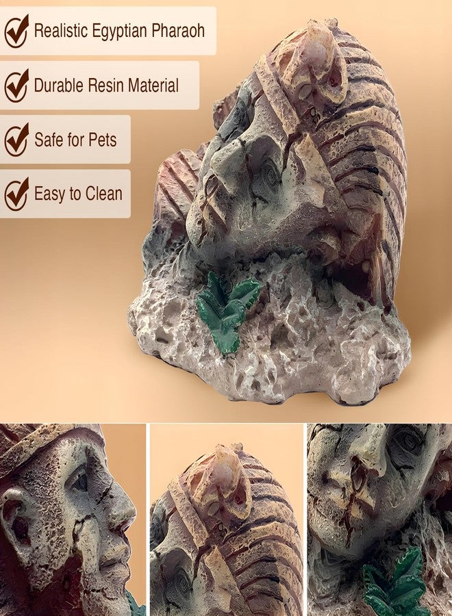 GNB PET Terrarium & Fish Tank Decoration, Resin Egyptian Pharaoh Aquarium Ornament for Reptiles and Fish - Small (2.36 x 1.97 x 1.97 Inches) - Image 5