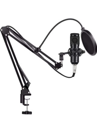 Beauenty for BM800 Professional Broadcasting Studio Recording Condenser Microphone Mic Kit with Sound card - pzsku/Z9C253345A5C99A8706B0Z/45/_/1682838711/2e7a748b-108f-4ddb-b080-8ff256b97578