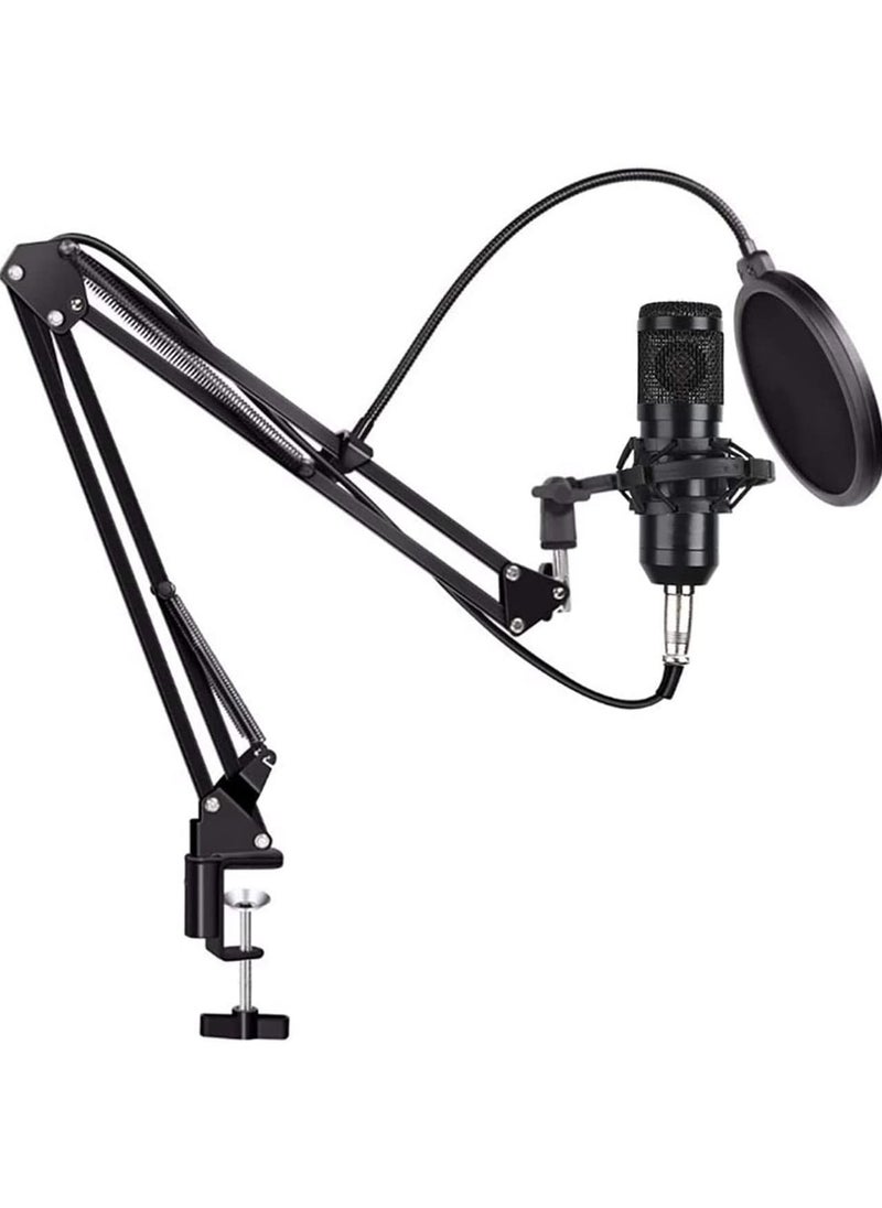 Generic - Beauenty for BM800 Professional Broadcasting Studio Recording Condenser Microphone Mic Kit with Sound card - Image 1