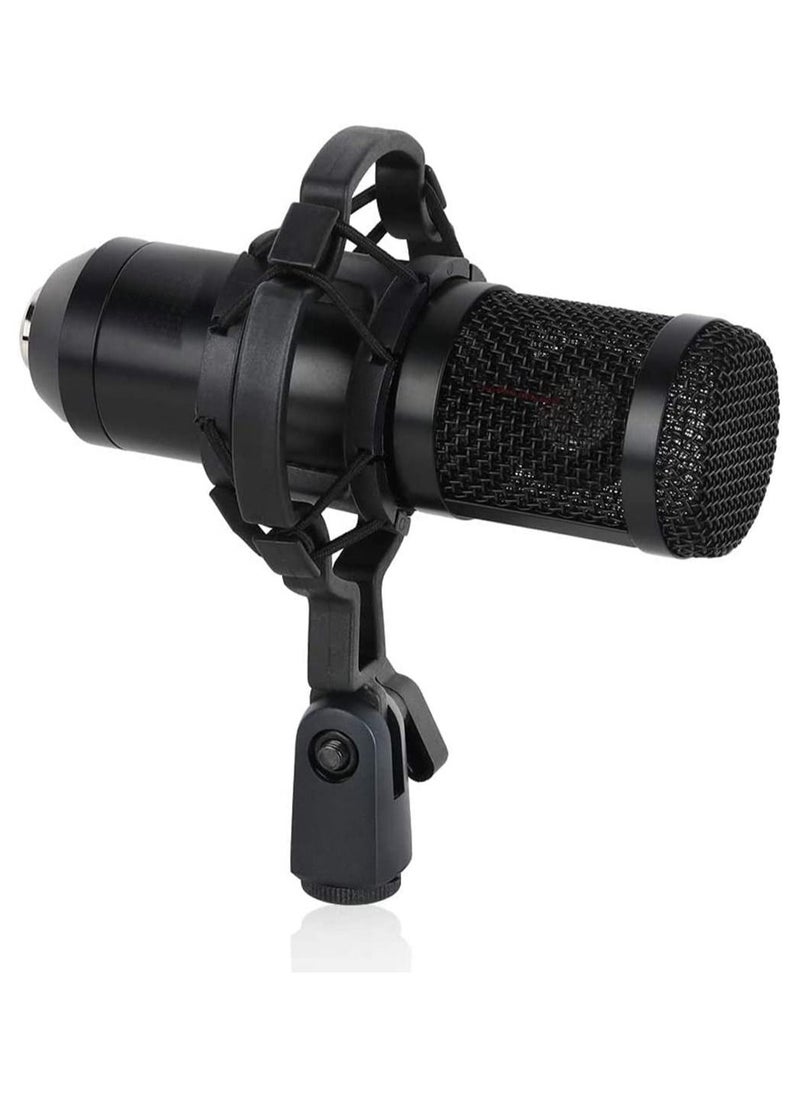 Generic - Beauenty for BM800 Professional Broadcasting Studio Recording Condenser Microphone Mic Kit with Sound card - Image 1