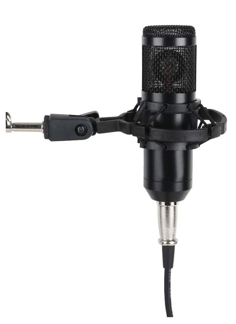 Generic - Beauenty for BM800 Professional Broadcasting Studio Recording Condenser Microphone Mic Kit with Sound card - Image 1