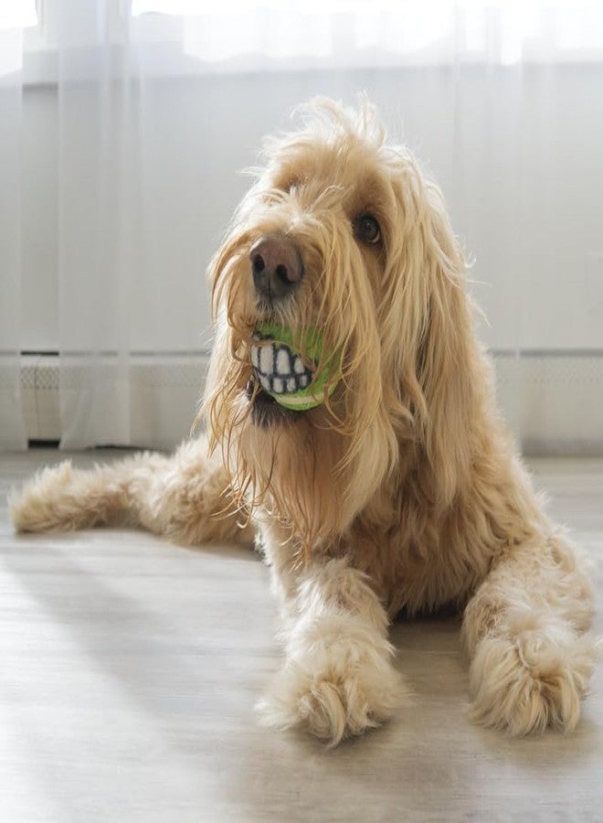 KONG Grinz by Rogz Variety Packs - Durable Bouncy Balls with Grinz Teeth (Small 3 Pack) - Image 5