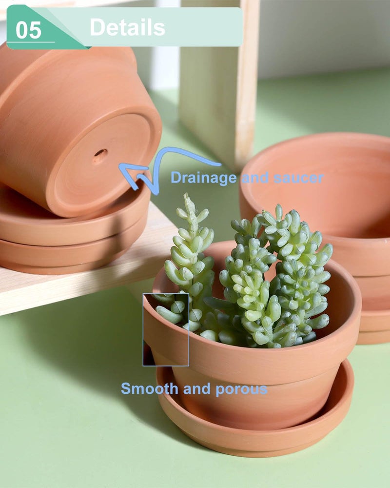 vensovo 3.7 Inch Terracotta Shallow Succulent Pots - 6 Pack Terra Cotta Clay Pot with Saucer, Cacuts Indoor and Outdoor Planters with Drainage Hole - Image 5