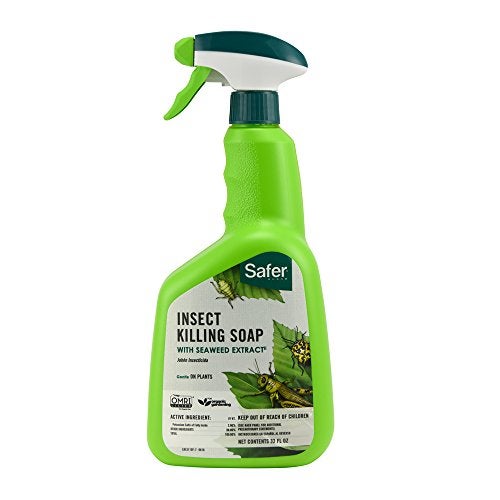 Safer Brand 5110-6 Insect Killing Soap, 32 Oz. - Image 1