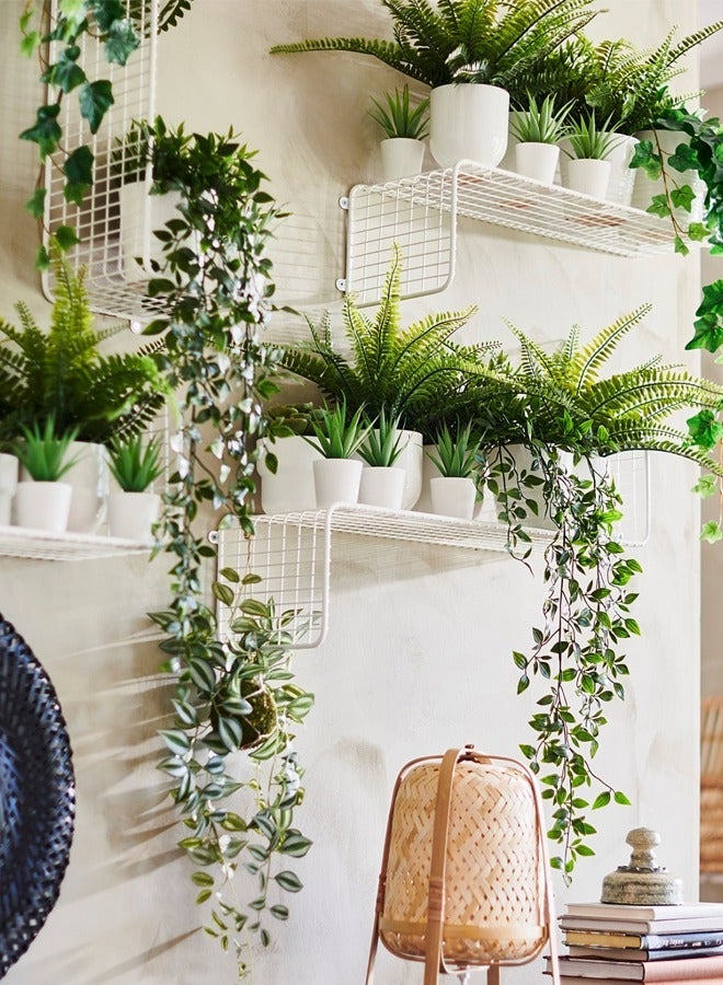 سويس كانتون نبات صناعي مع وعاء أخضر/أبيض - تصميم واقعي يحاكي الطبيعة، يظل بمظهره النضر لسنوات، مثالي لديكور المنزل، أنيق ومضغوط وسهل التخزين، يعزز جمال أي مساحة معيشة - Image 4