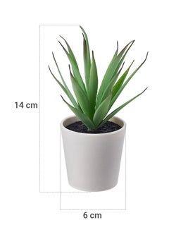 Swiss Canton Artificial Potted Plant with Pot Green/White - Realistic Lifelike Design, Fresh-Looking Year After Year, Perfect for Home Decor, Elegant and Compact, Easy Storage, Enhances Any Living Space  - Image 5