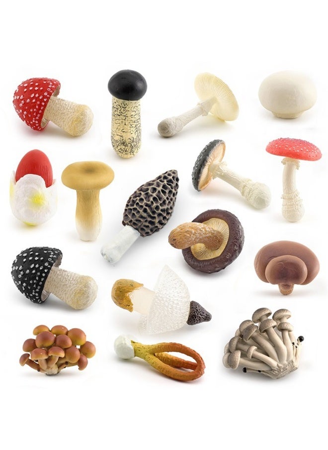 Generic - Simulation Fungus Mushroom Model Lentinus Edodes Long Skirt Bamboo Mushroom Poisonous Rope Umbrella Real Agaricus Mushroom Matsutake Amanita Mushroom Ornaments-Color:T15514 Slide Mushroom 18g - Image 1