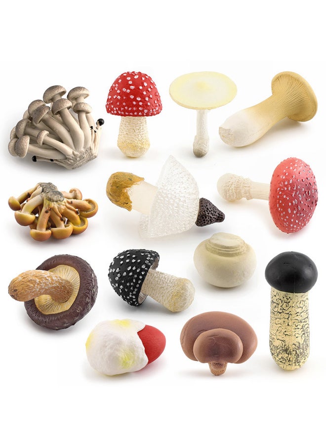Generic - Simulation Fungus Mushroom Model Lentinus Edodes Long Skirt Bamboo Mushroom Poisonous Rope Umbrella Real Agaricus Mushroom Matsutake Amanita Mushroom Ornaments-Color:T15514 Slide Mushroom 18g - Image 1