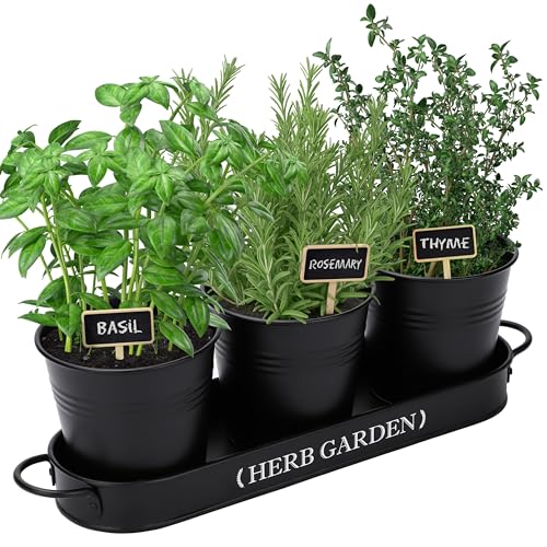 PERFNIQUE Indoor Herb Garden, Herb Planter for Indoor/Outdoor, Farmhouse Plant Pots, Windowsill Herb Garden with Tray(Planter only) Window Pots - Image 1
