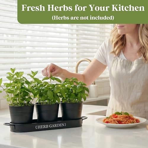 PERFNIQUE Indoor Herb Garden, Herb Planter for Indoor/Outdoor, Farmhouse Plant Pots, Windowsill Herb Garden with Tray(Planter only) Window Pots - Image 3
