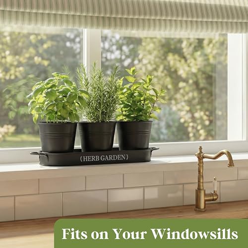 PERFNIQUE Indoor Herb Garden, Herb Planter for Indoor/Outdoor, Farmhouse Plant Pots, Windowsill Herb Garden with Tray(Planter only) Window Pots - Image 4