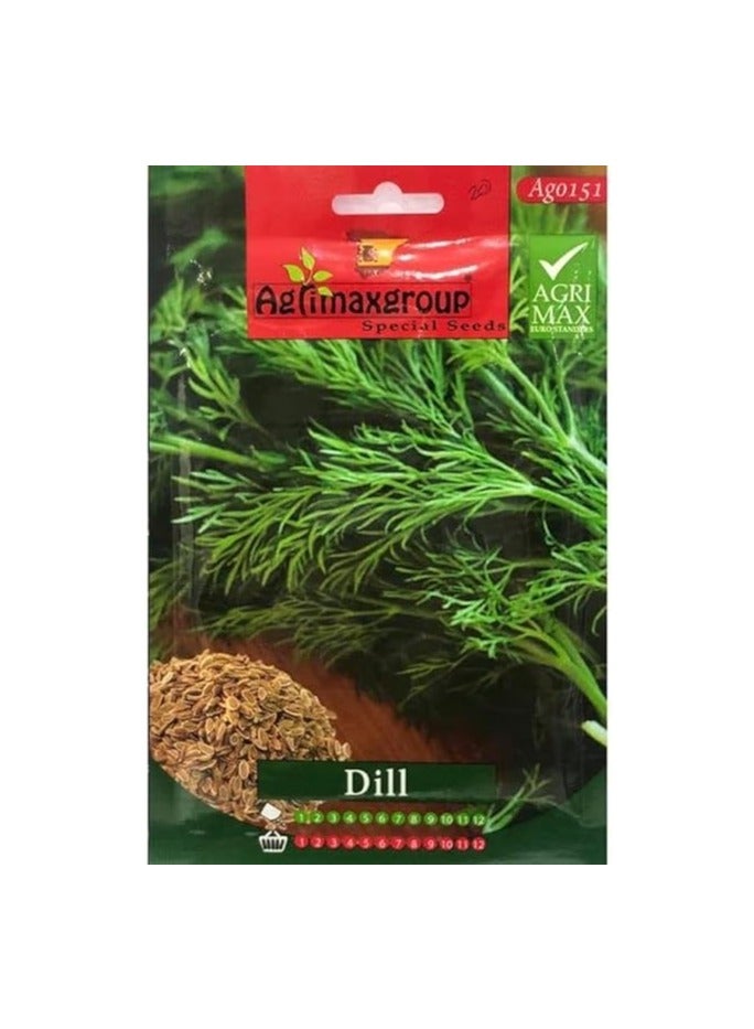 أجريماكس بذور الشبت عالية الجودة من Agrimaxgroup® - Image 1