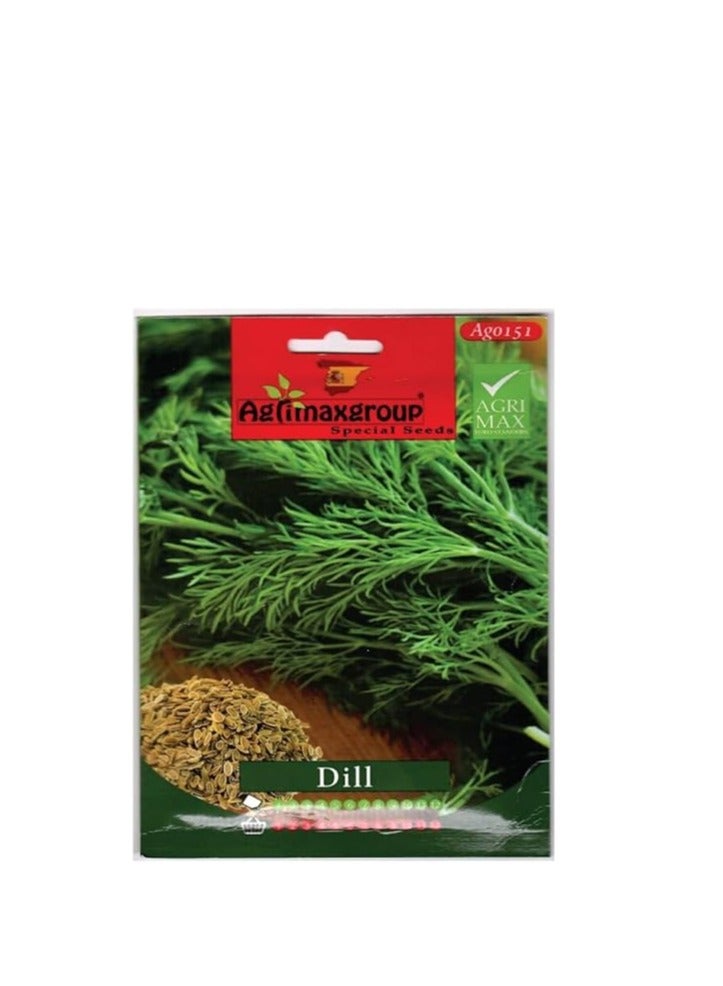 أجريماكس بذور الشبت عالية الجودة من Agrimaxgroup® - Image 2