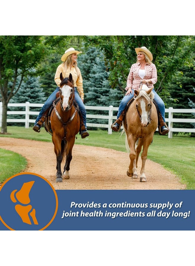 Farnam MaxFlex XR Extended Release Joint Supplement for Horses, Provides a continuous supply of joint health ingredients for 24 hours, 0.9375 pound, 30 Day Supply - Image 2