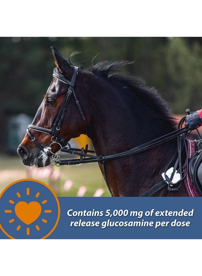 Farnam MaxFlex XR Extended Release Joint Supplement for Horses, Provides a continuous supply of joint health ingredients for 24 hours, 0.9375 pound, 30 Day Supply - Image 4