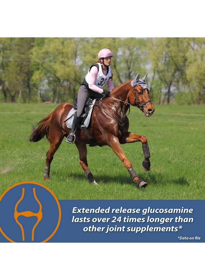 Farnam MaxFlex XR Extended Release Joint Supplement for Horses, Provides a continuous supply of joint health ingredients for 24 hours, 0.9375 pound, 30 Day Supply - Image 5