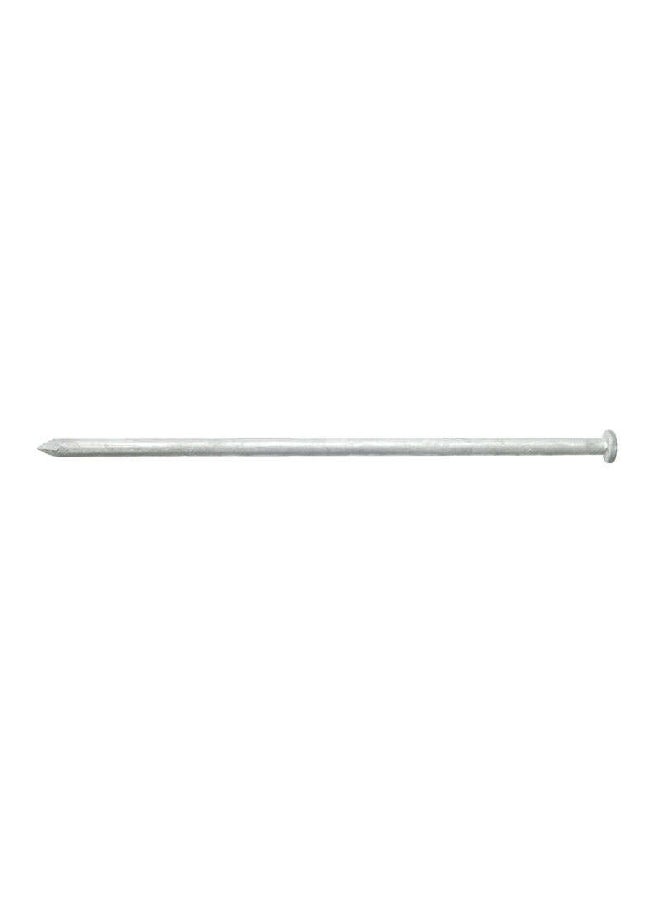 ACE Diamond Point Flat Head Hot-Dipped Galvanized Steel Spike Nail Silver 10 Inch 5188669 - Image 2