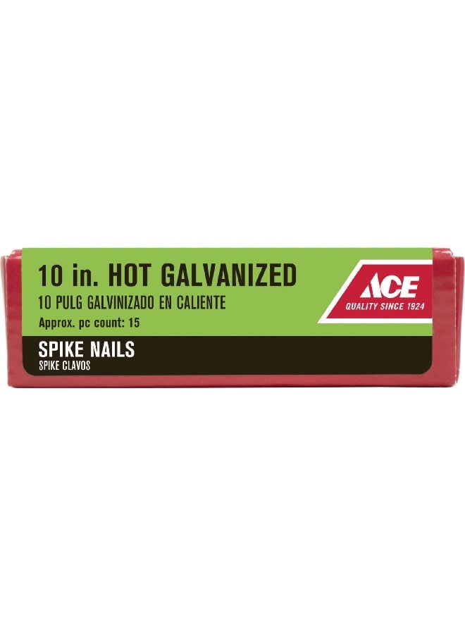 ACE Diamond Point Flat Head Hot-Dipped Galvanized Steel Spike Nail Silver 10 Inch 5188669 - Image 1