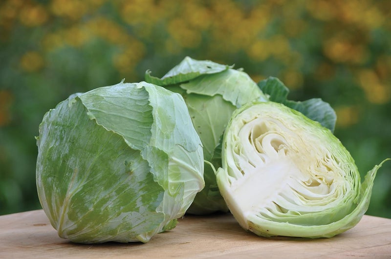 Burpee بذور كابوتشا تشارلستون ويكفيلد 200 بذور - Image 2