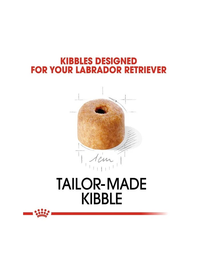 رويال كانين طعام جاف للكلاب من رويال كانين لابرادور بابي، 12 كجم - Image 4