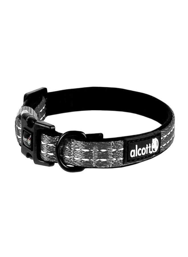 alcott Nylon Adventure Collar, Extra Small, Grey, dogs, 12 inch