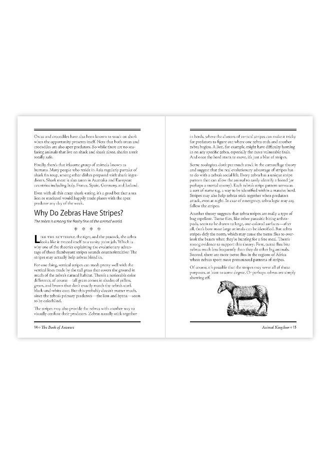 The Book of Answers  - Image 3