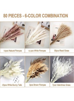 Generic 80 Pcs Dried Pampas Grass Dried Flowers Of Small Reeds Boho Natural Flowers Arrangements White Reed Bunny Tails for Home Decor Flower Living Room Balcony Wedding Party 