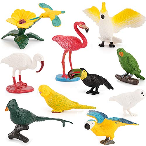 DOYIFUN 10 Pcs Simulated Bird Animals Parrot Model Figure Toys Realistic Flamingo Birds Figurine Collection Playset Cake Toppers Gift for Kids Educational Toys - Image 5