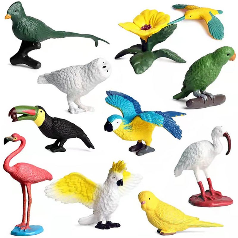 DOYIFUN 10 Pcs Simulated Bird Animals Parrot Model Figure Toys Realistic Flamingo Birds Figurine Collection Playset Cake Toppers Gift for Kids Educational Toys - Image 3