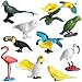 DOYIFUN 10 Pcs Simulated Bird Animals Parrot Model Figure Toys Realistic Flamingo Birds Figurine Collection Playset Cake Toppers Gift for Kids Educational Toys - Image 4