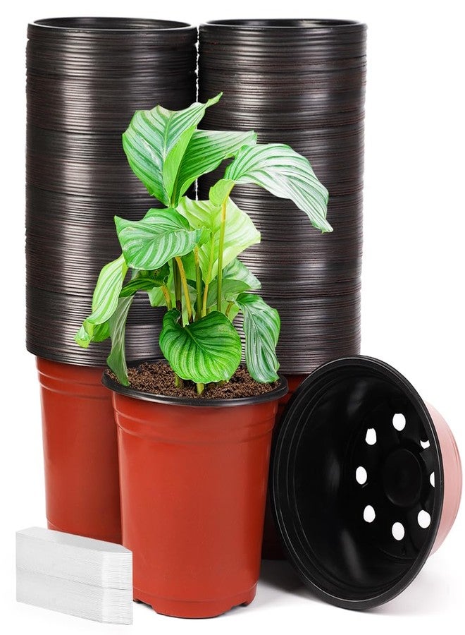 JERIA 200 Pack 6 Inch Plastic Nursery Pots Comewith Drainage Holes, Seedling Flower Plant Container and Seed Starting Pots with 200 Pcs Labels - Image 1