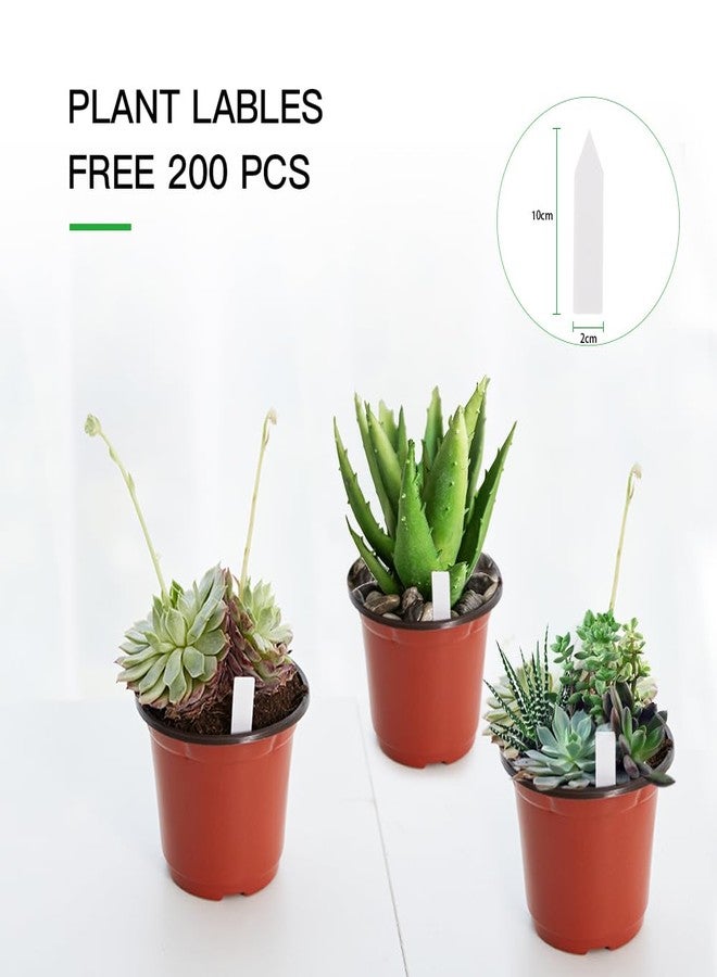JERIA 200 Pack 6 Inch Plastic Nursery Pots Comewith Drainage Holes, Seedling Flower Plant Container and Seed Starting Pots with 200 Pcs Labels - Image 3