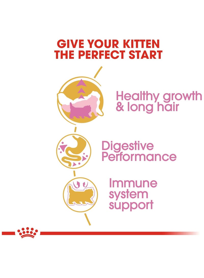 رويال كانين غذاء رويال كانين للقطط الفارسية الصغيرة 2 كجم - Image 4