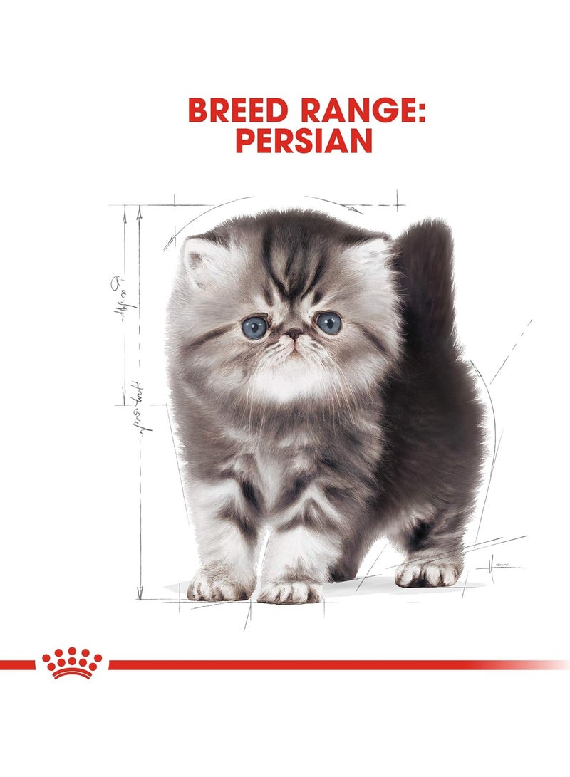 رويال كانين غذاء رويال كانين للقطط الفارسية الصغيرة 2 كجم - Image 5