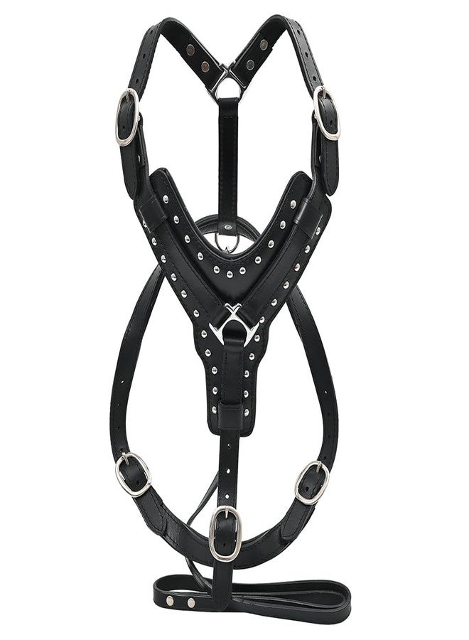 HILASON Black X Large HILASON Leather Dog Harness Padded Genuine Matching Leash | Walking with - Image 1